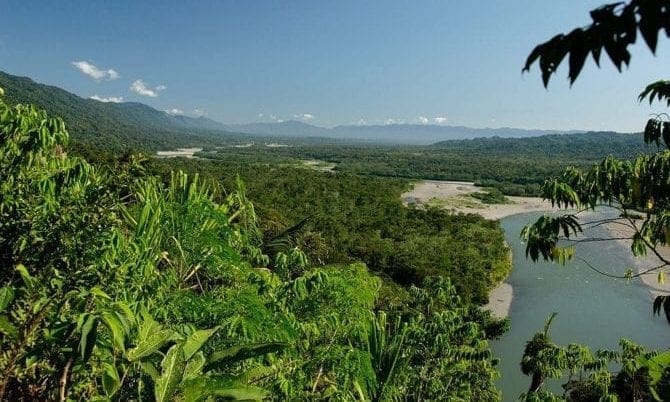 Amazonas