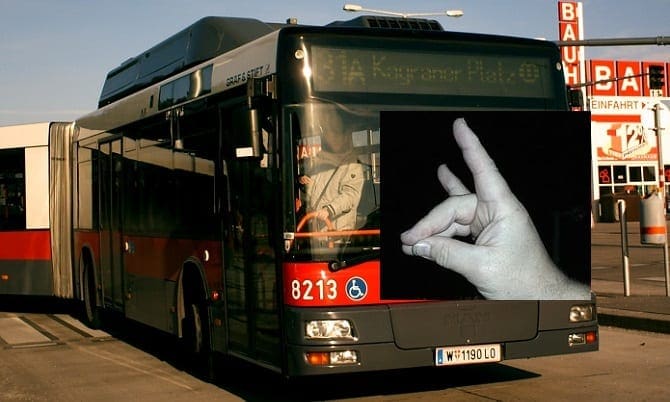 Graue Wölfe am Busvolant?