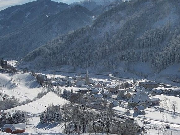 Wald_am_Schoberpass
