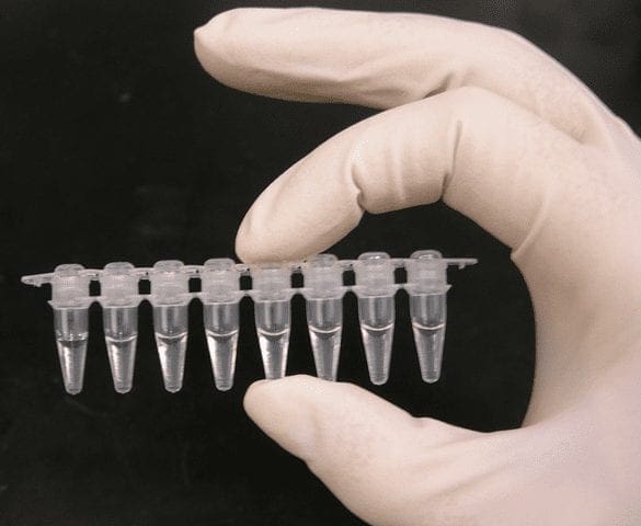 PCR Test