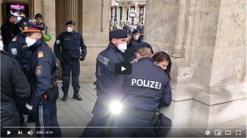 Polizei attackiert Frau