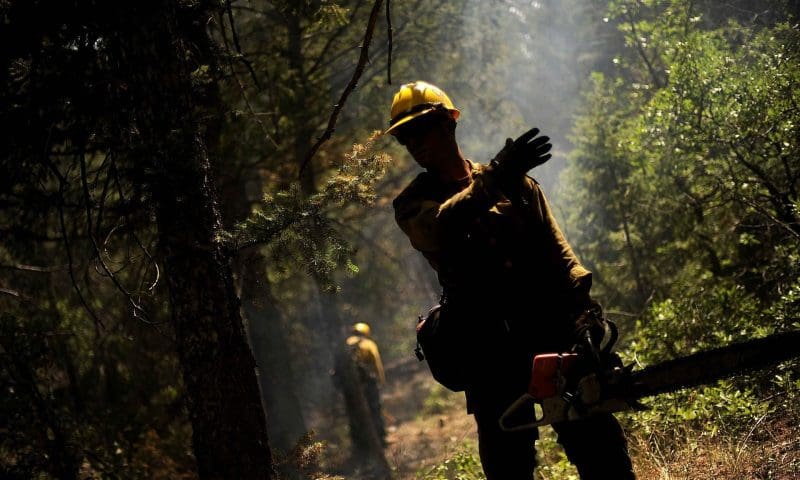 Waldbrand