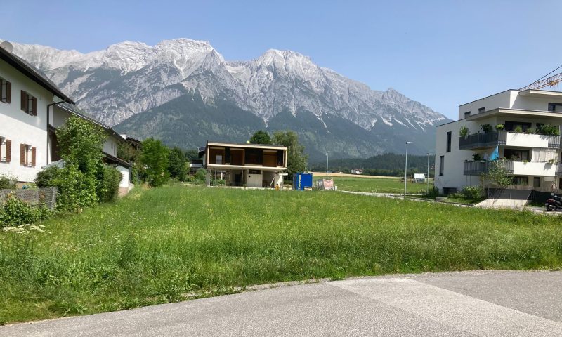 Wiese im Stadtteil Schönegg in Hall in Tirol