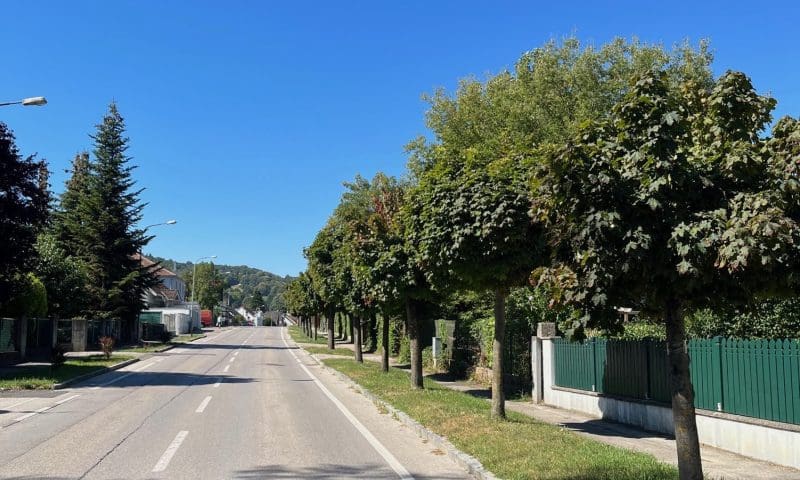 Baumallee