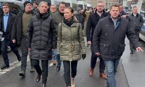 Alice Weidel, Susanne Fürst, Peter Schmiedlechner